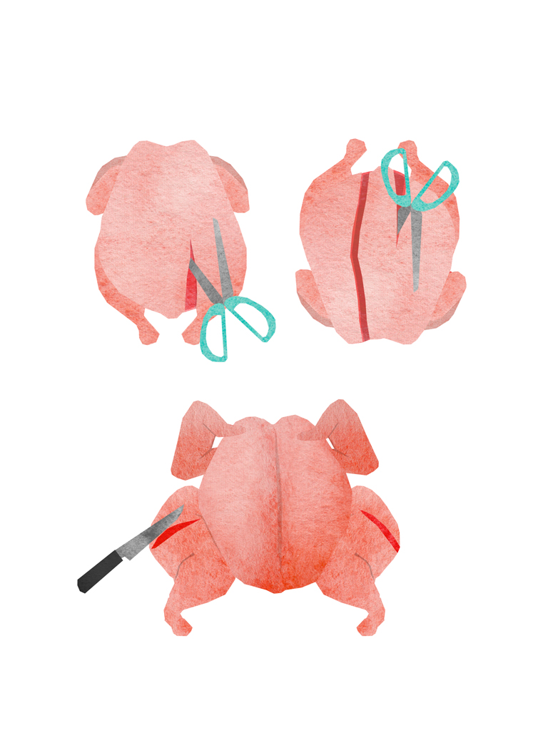 tram nguyen spatchcock chicken illustration