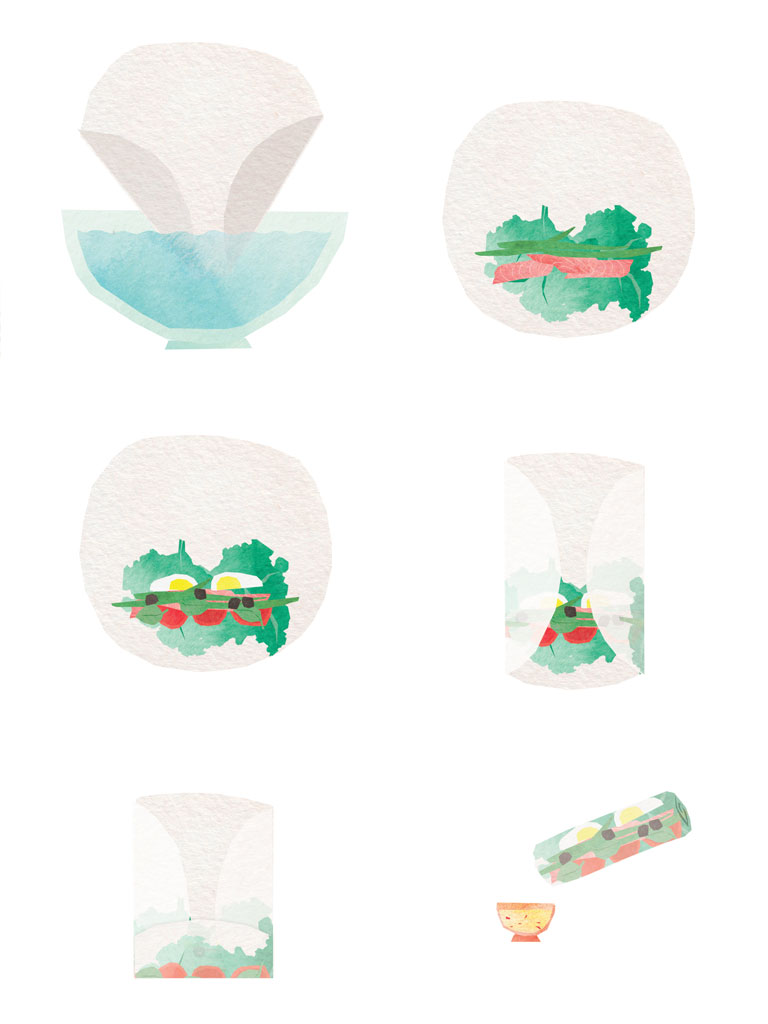 tram nguyen spring rolls illustration